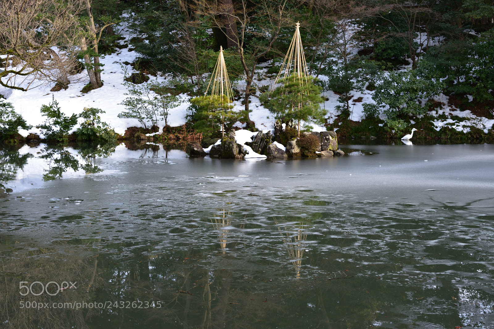 Nikon D750 + Nikon AF-S Nikkor 50mm F1.8G sample photo. 氷が張った瓢箪池 兼六園 photography