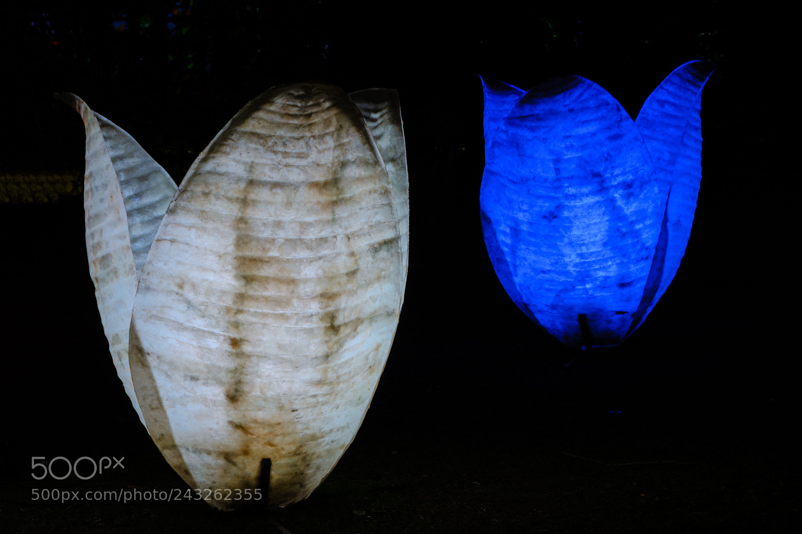 Nikon D7100 sample photo. Palmentgarten frankfurt winterlichter photography