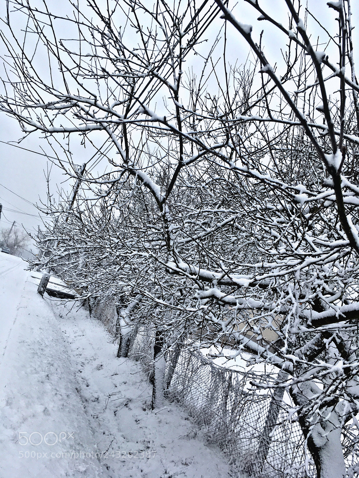 Apple iPhone SE sample photo. Snow photography