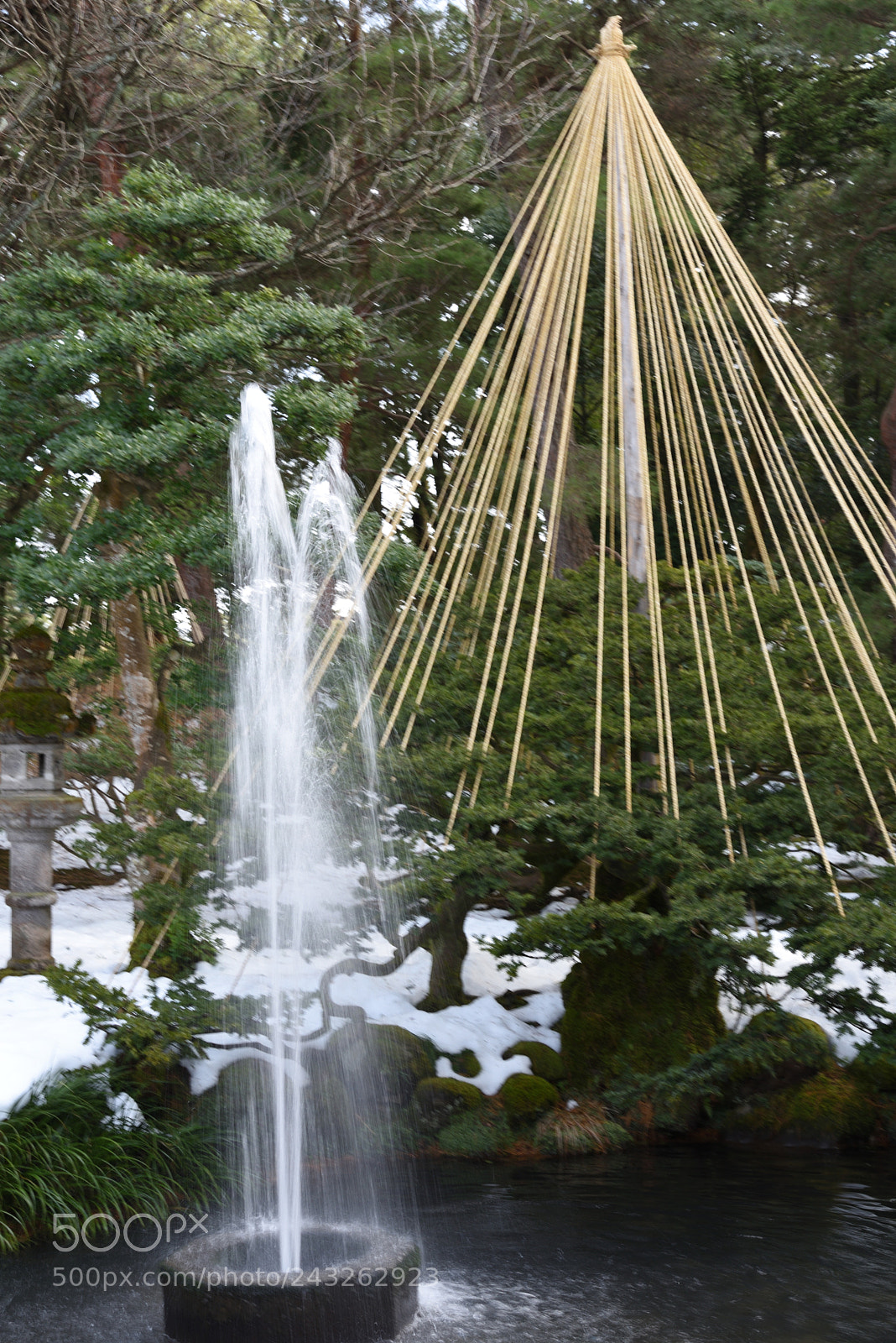 Nikon D750 + Nikon AF-S Nikkor 50mm F1.8G sample photo. 日本最古の噴水と雪吊り 兼六園 photography