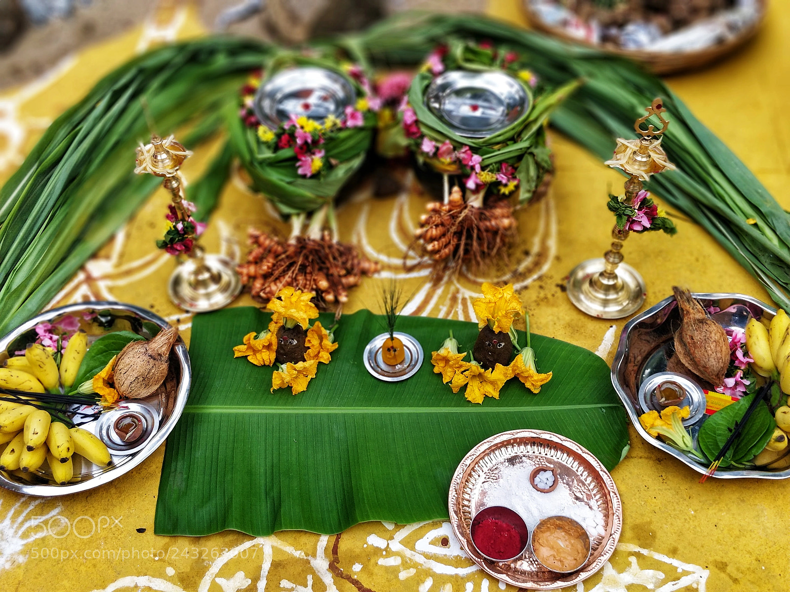 OnePlus 5 sample photo. Pongal photography