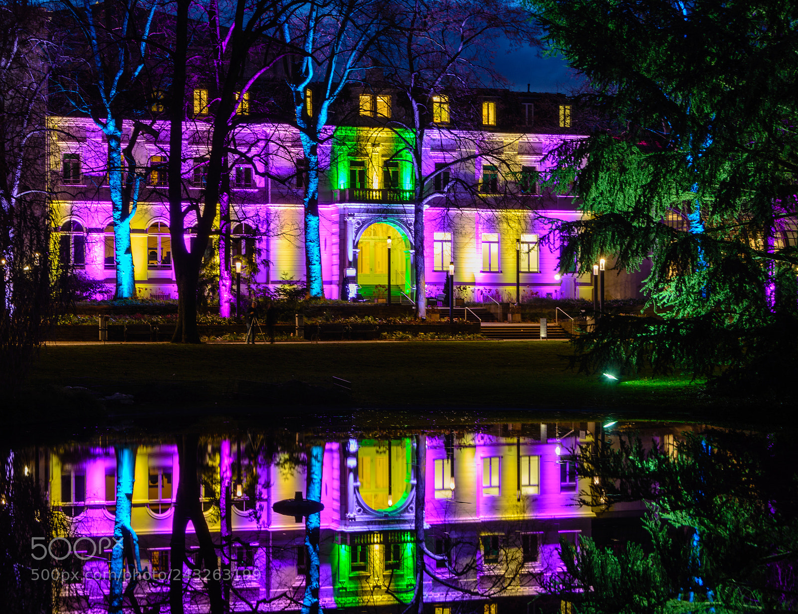 Nikon D7100 sample photo. Palmentgarten frankfurt winterlichter photography