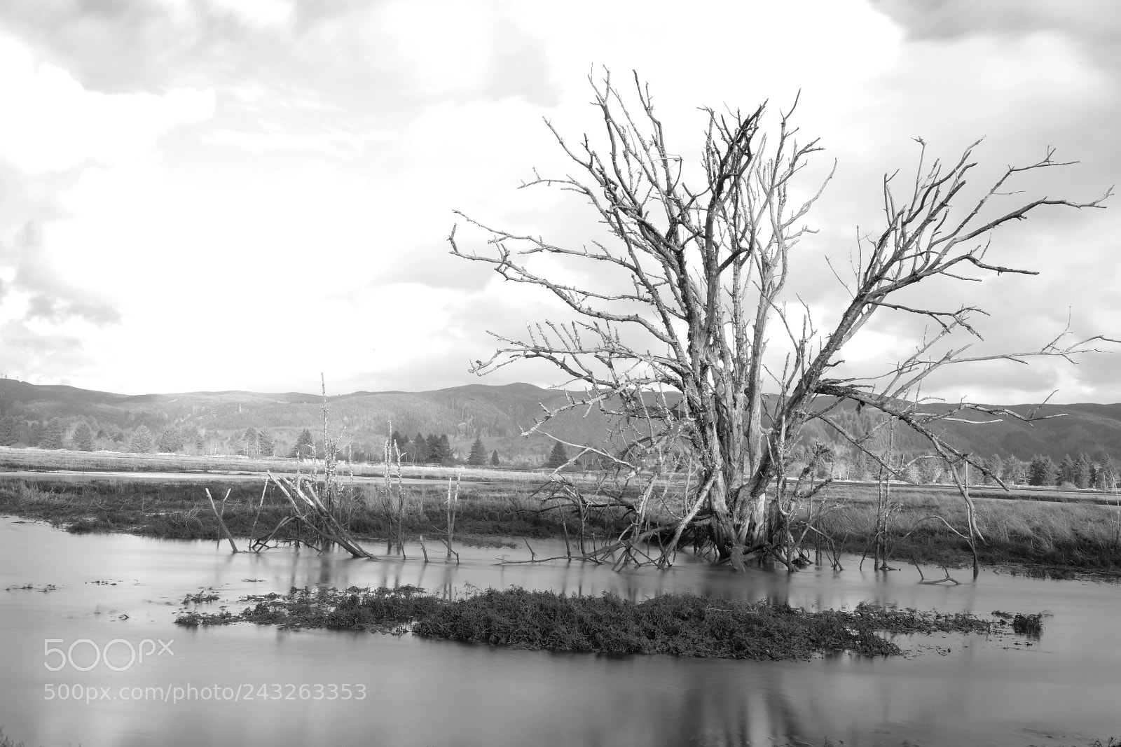 Fujifilm X-T2 sample photo. Untitled photography