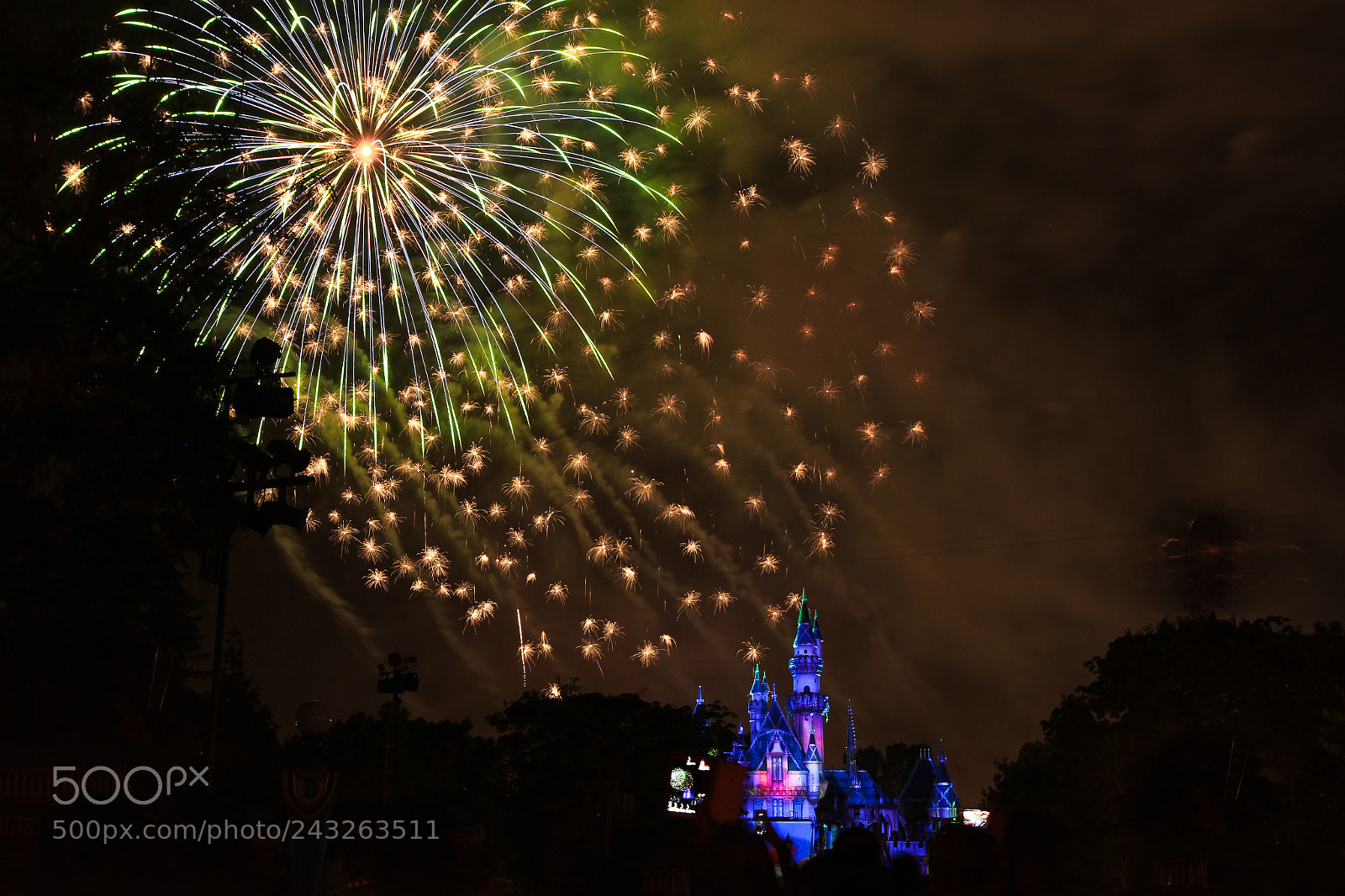 Canon EOS 550D (EOS Rebel T2i / EOS Kiss X4) sample photo. The magic of... disney! photography