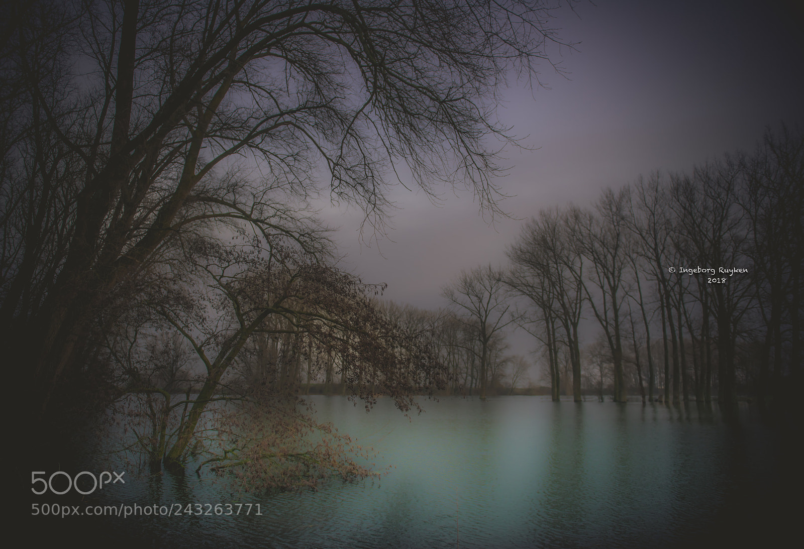 Nikon D800 sample photo. Groote wiel 3079 photography