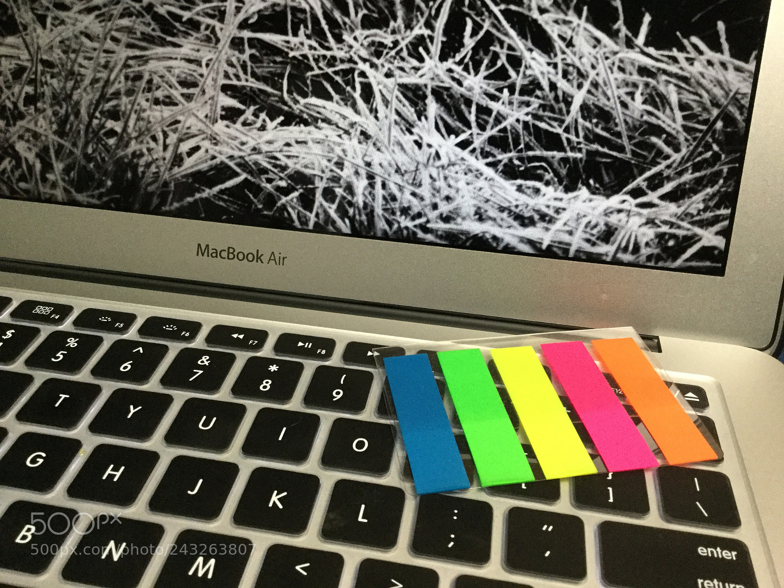 Apple iPad Air 2 sample photo. Spot of color photography