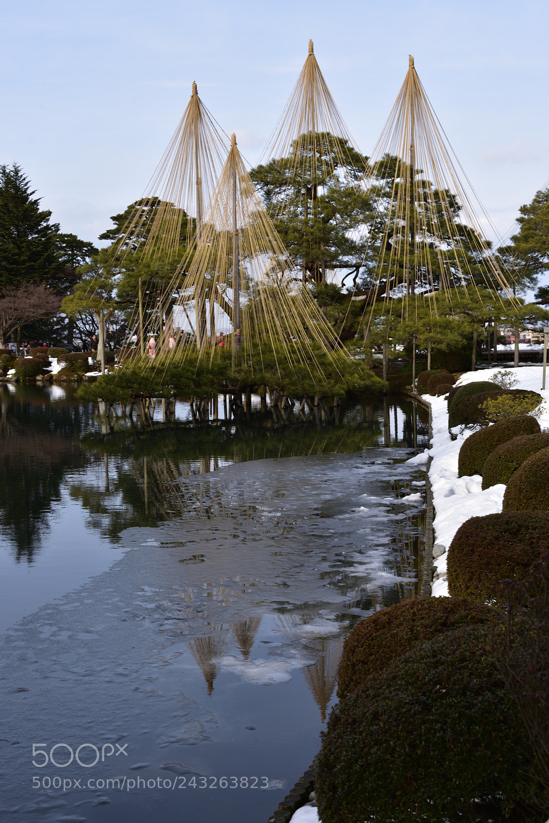 Nikon D750 + Nikon AF-S Nikkor 50mm F1.8G sample photo. 氷の霞が池に映る唐崎松 兼六園 photography