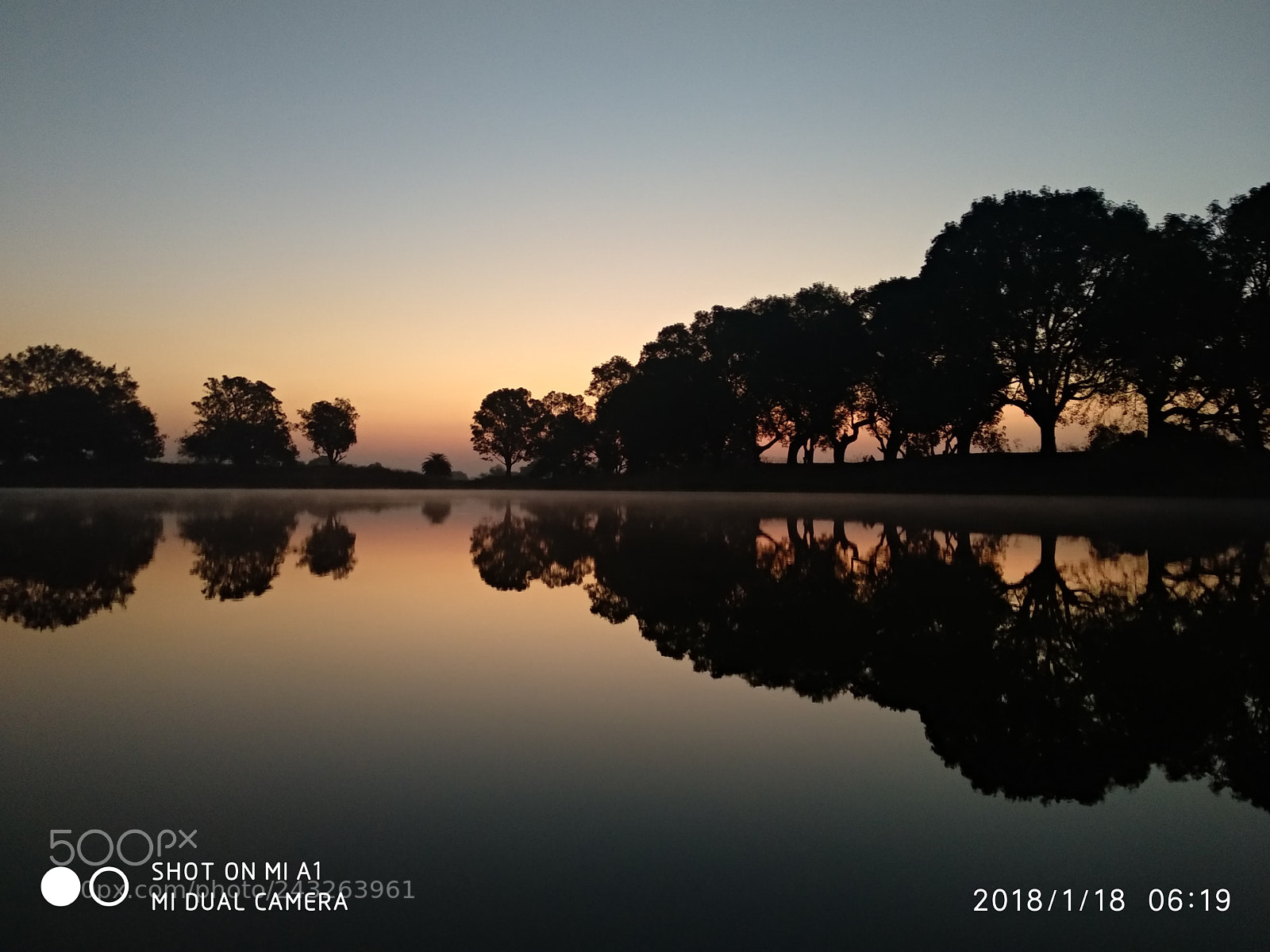 Xiaomi Mi A1 sample photo. Untitled photography