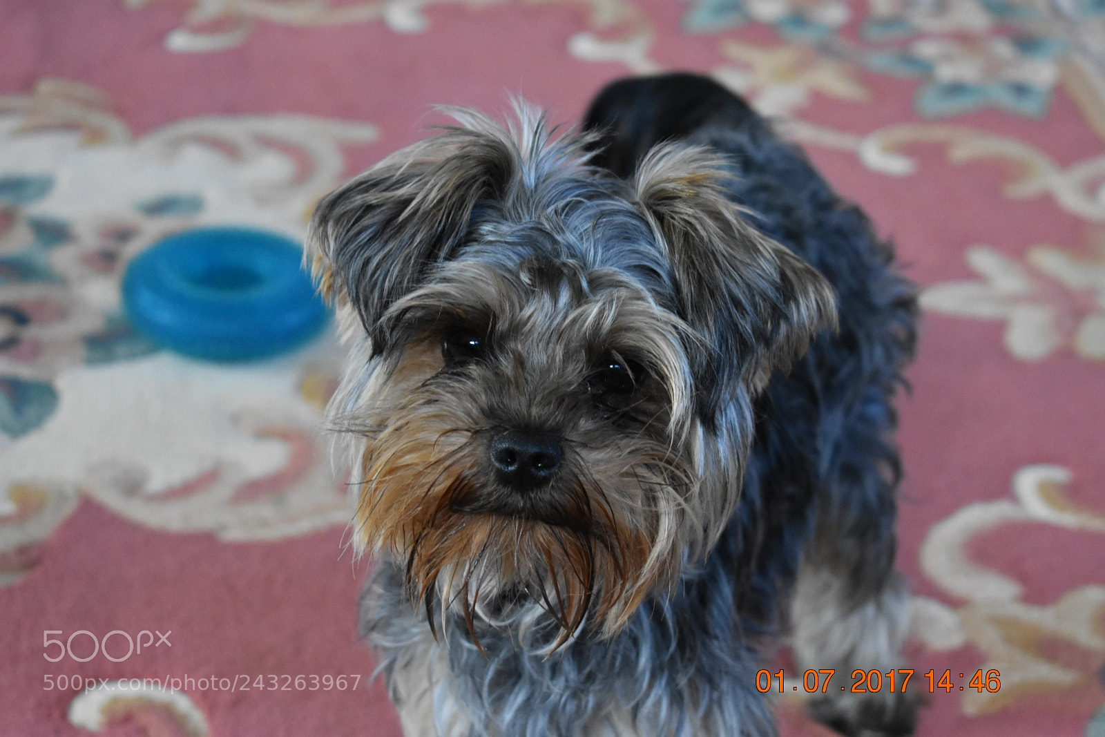 Nikon D3400 sample photo. Give me food photography