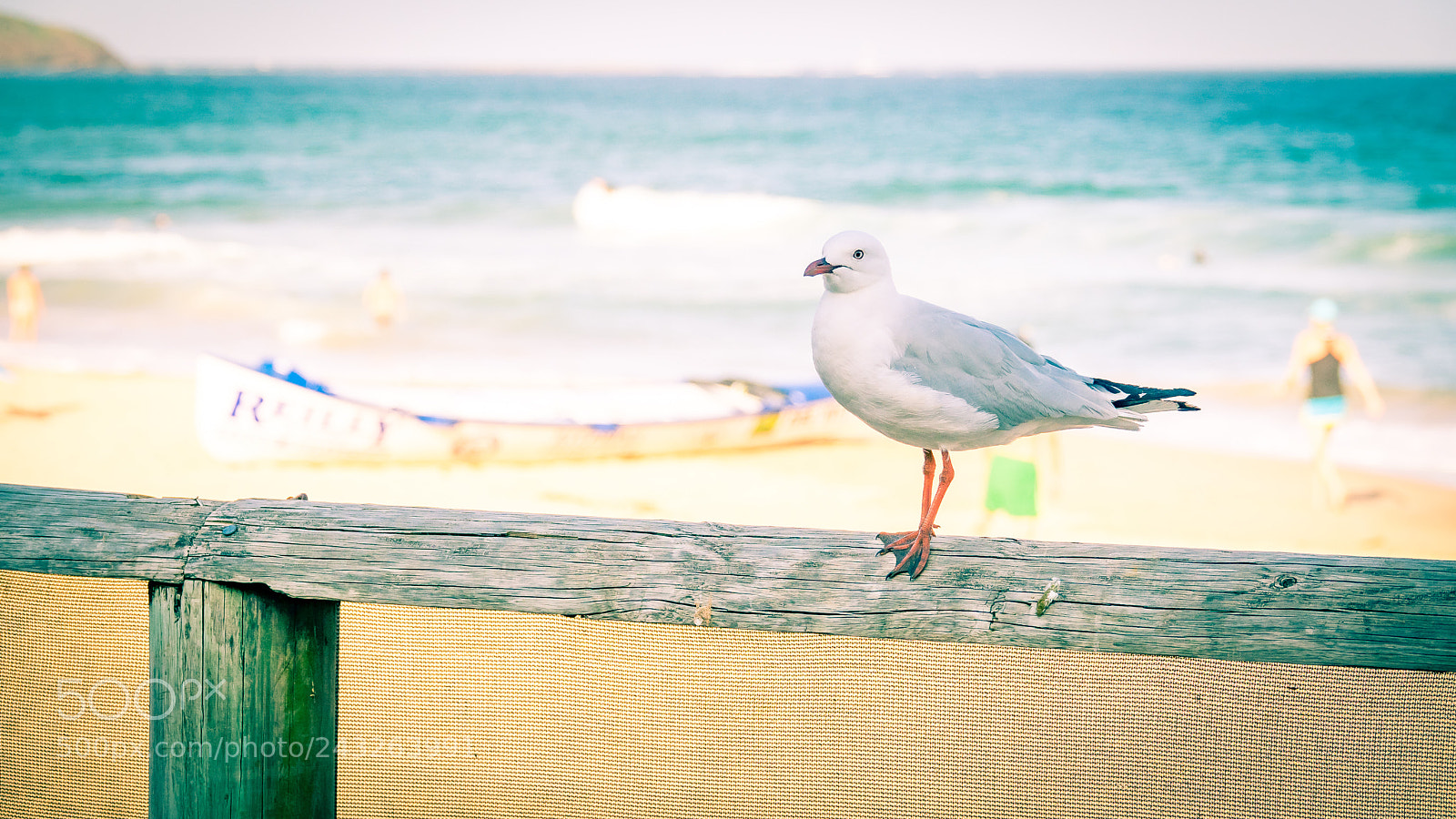 Sony Cyber-shot DSC-RX10 III sample photo. Beach bum photography