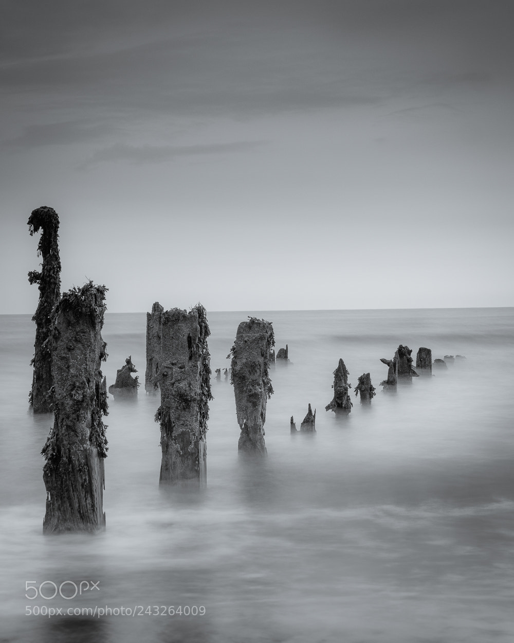 Fujifilm X-T2 sample photo. Spurn point photography
