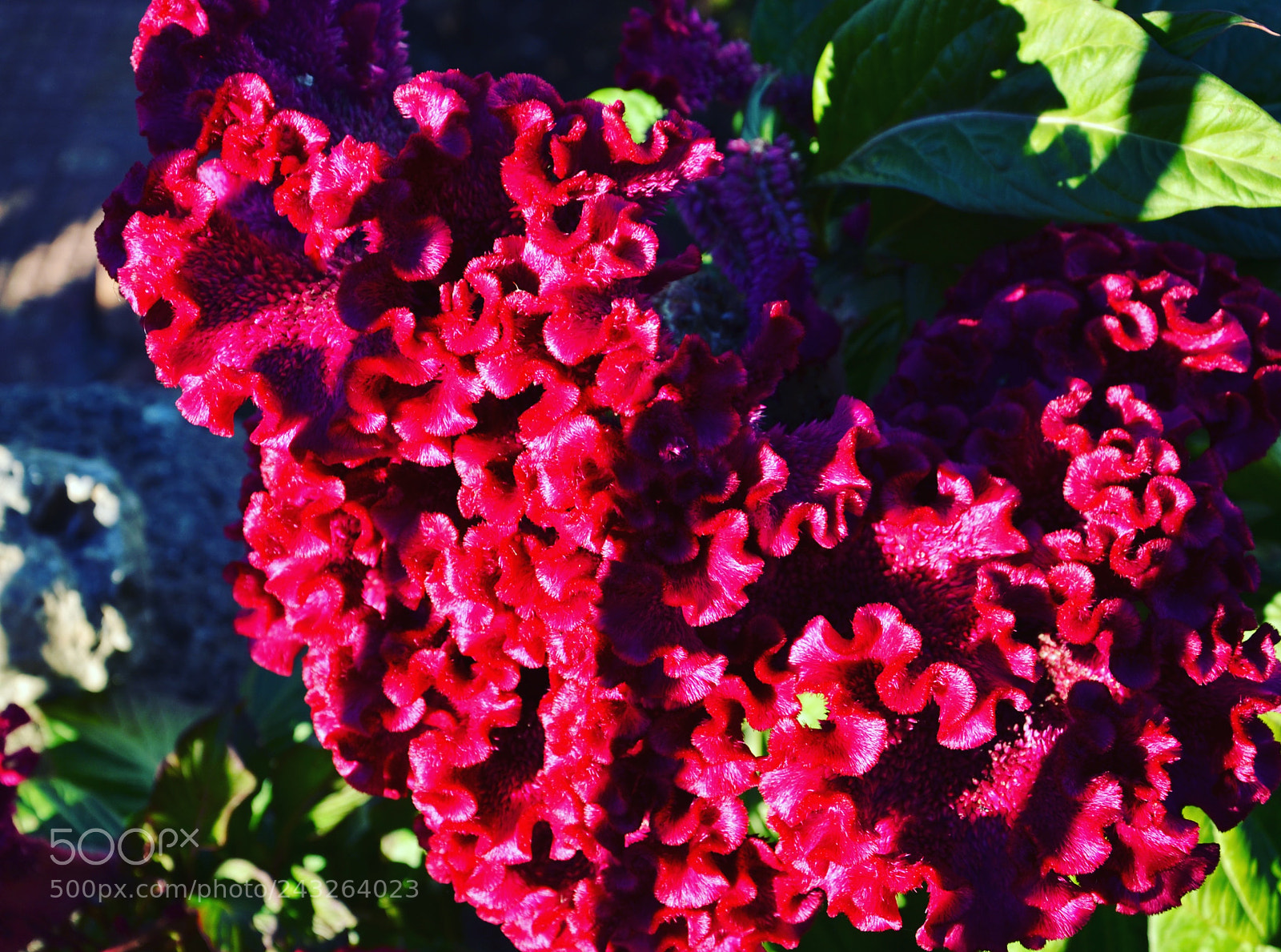 Nikon D3100 sample photo. Untitled photography