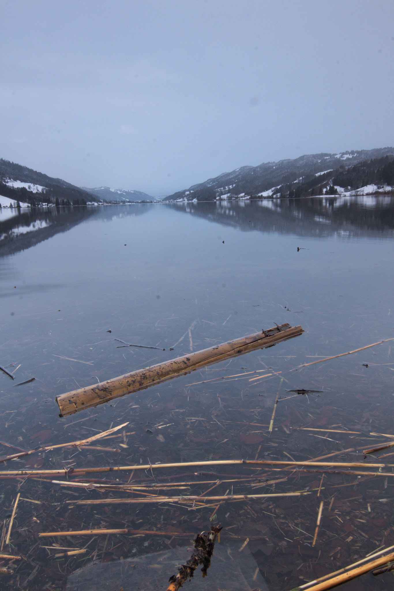 Canon EOS 100D (EOS Rebel SL1 / EOS Kiss X7) sample photo. Alpsee photography