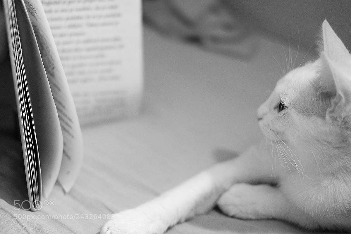 Fujifilm X-T10 sample photo. Education photography