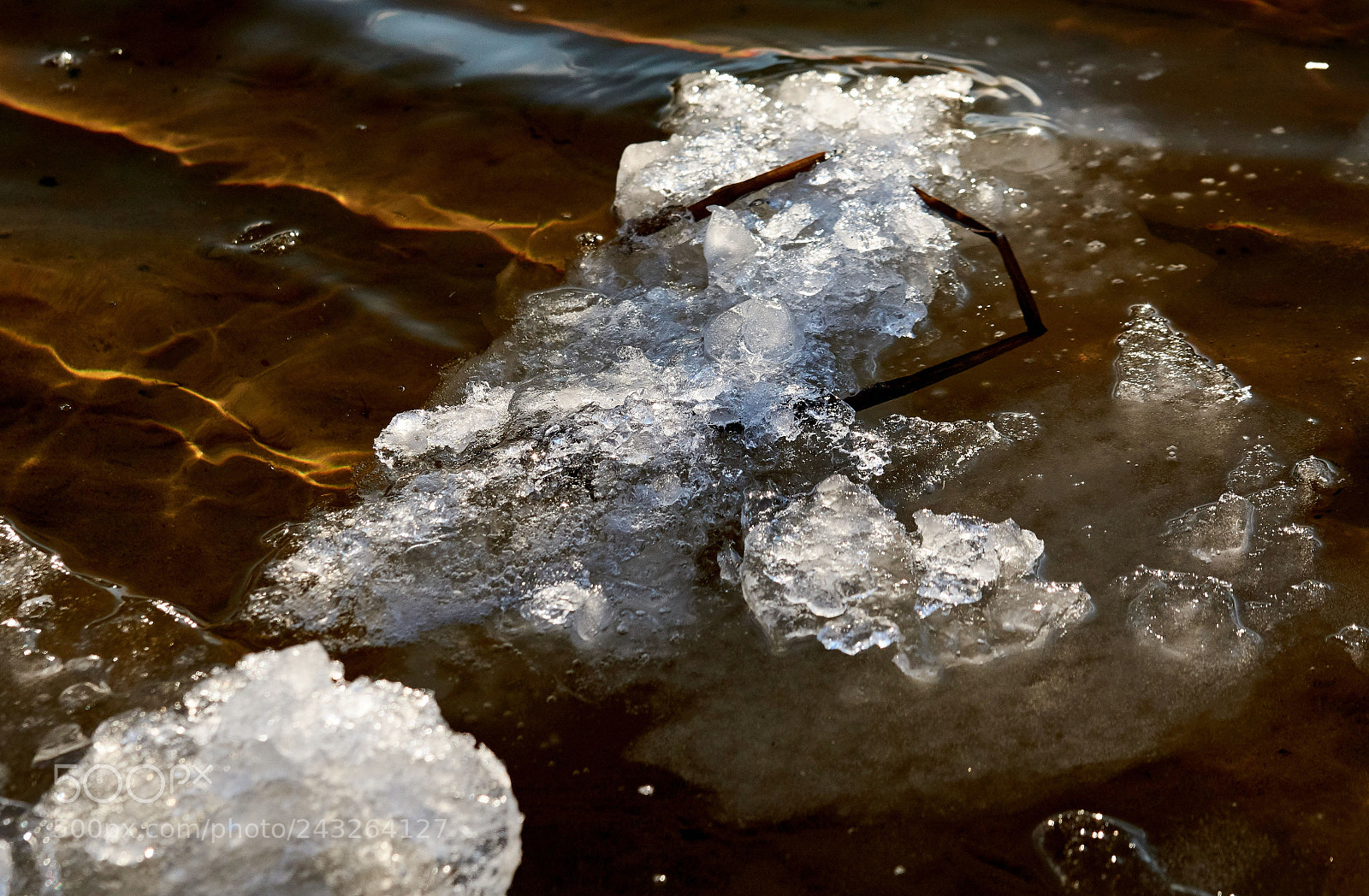 Nikon D7100 sample photo. Floating ice photography