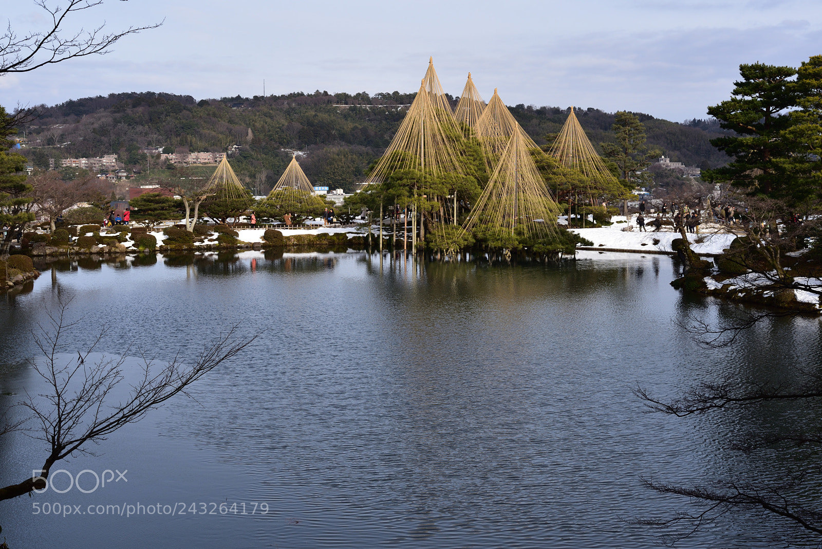 Nikon D750 + Nikon AF-S Nikkor 50mm F1.8G sample photo. 栄螺山（さざえやま）から眺める霞ヶ池と雪吊りの唐崎松 兼六園 photography