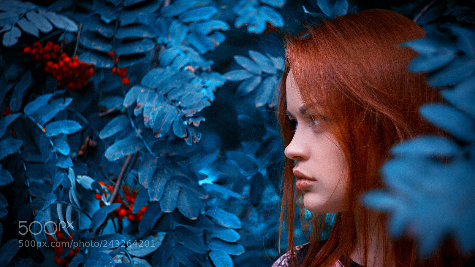 Canon EOS 60D sample photo. Рыжая лиса photography