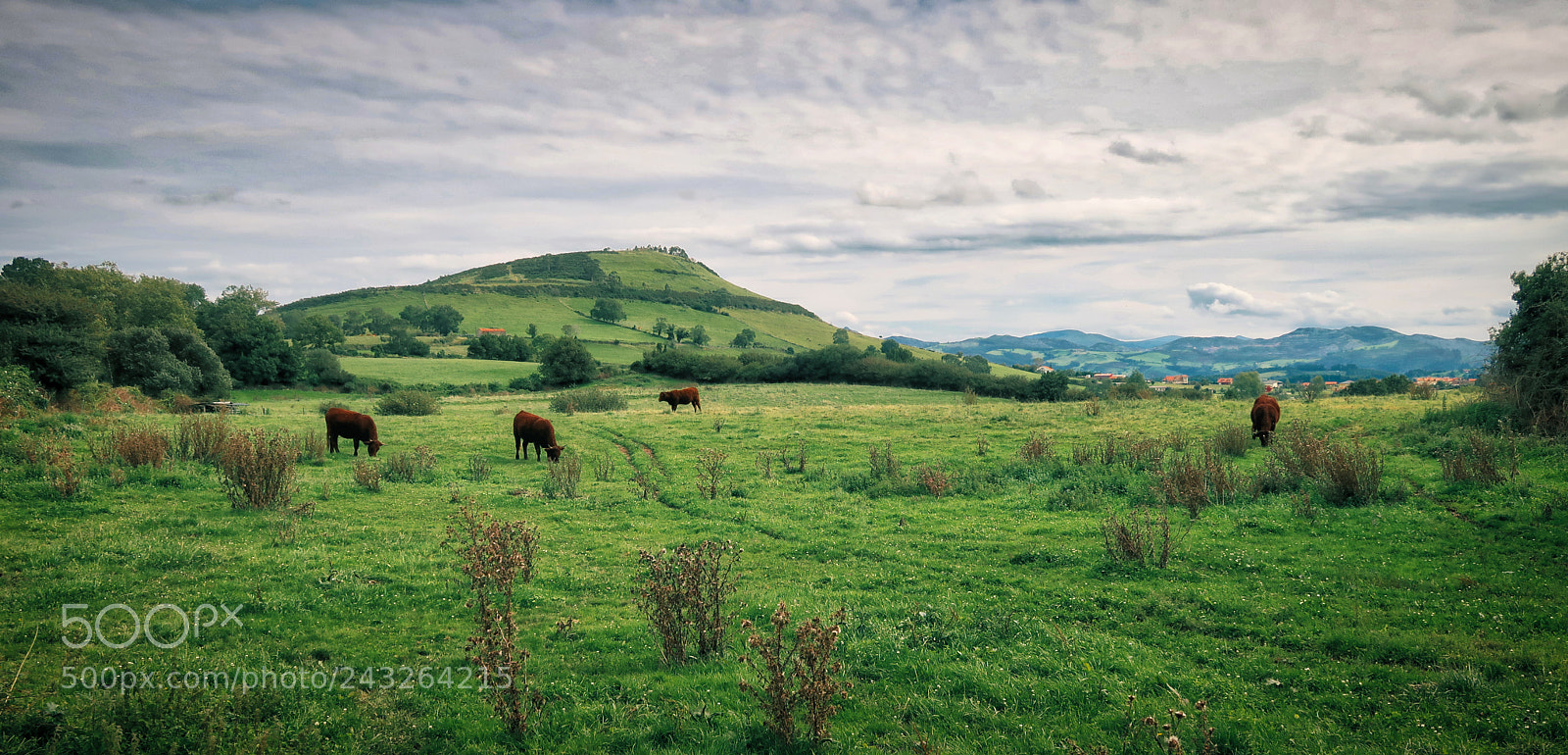 Canon PowerShot G7 X Mark II sample photo. Cantabria, spain photography