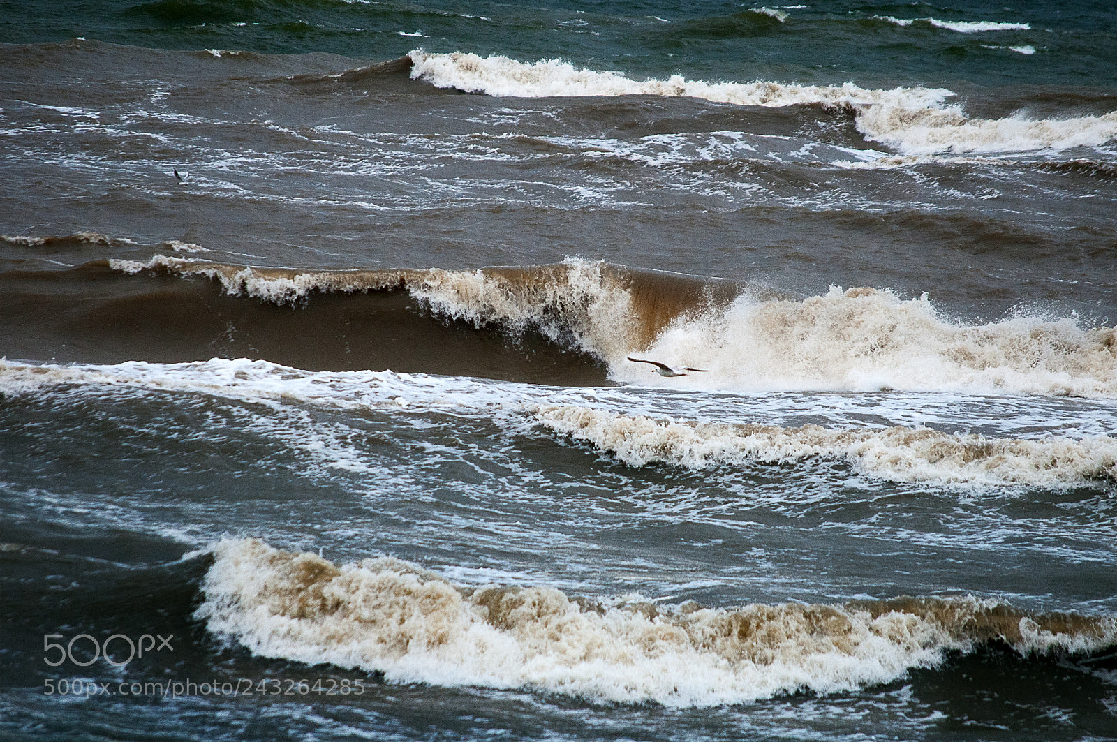 Nikon D300 sample photo. Storm on the baltic photography