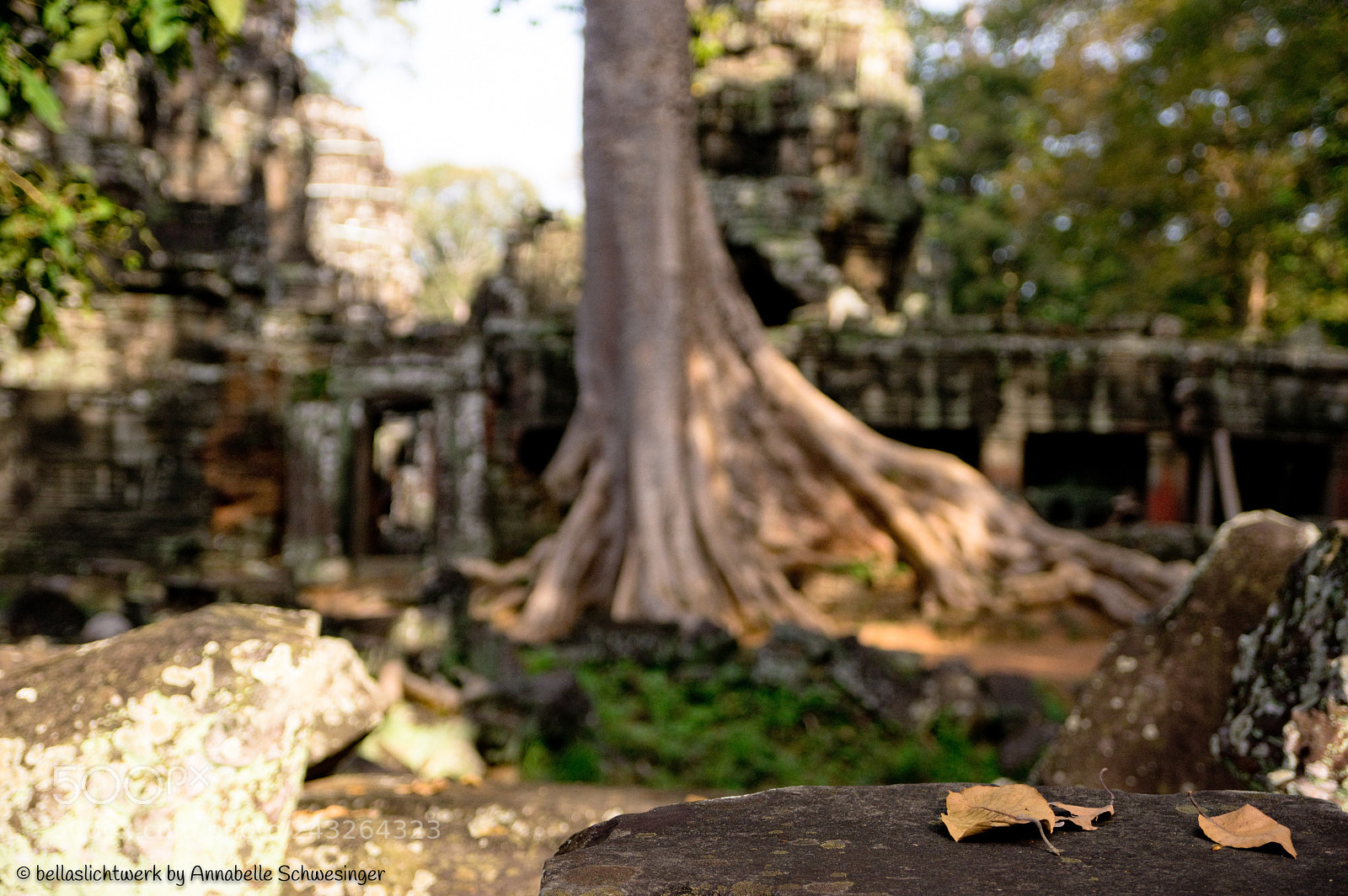 Pentax K-3 sample photo. Into a mystic world photography