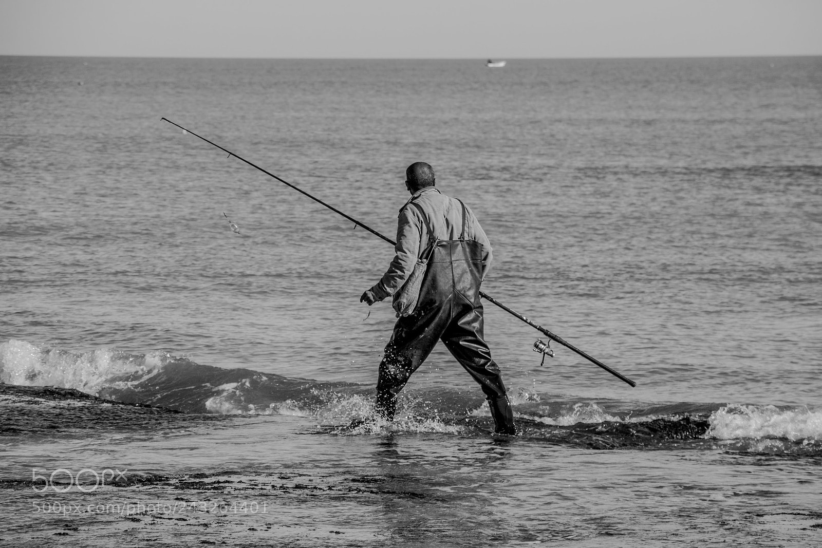 Canon EOS 50D sample photo. Abdo.ph.pro photography