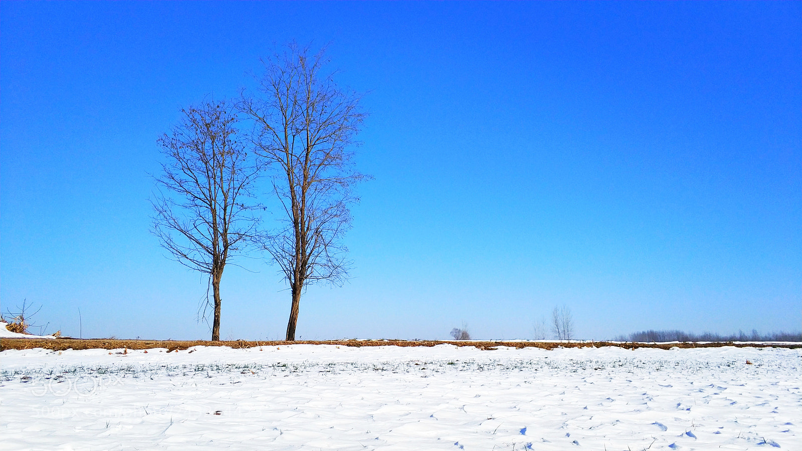Xiaomi MI6 sample photo. 守望(keep watch) photography