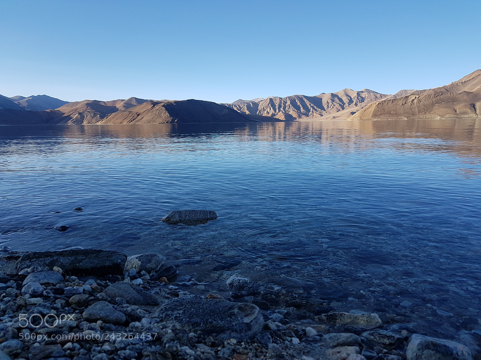 Samsung Galaxy S7 Edge sample photo. Pangong tso photography
