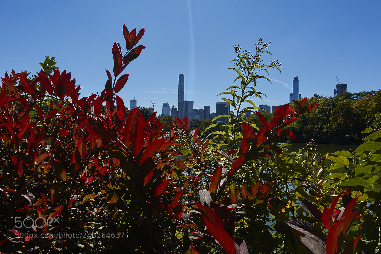 Sony Cyber-shot DSC-RX100 IV sample photo. New york, last may photography