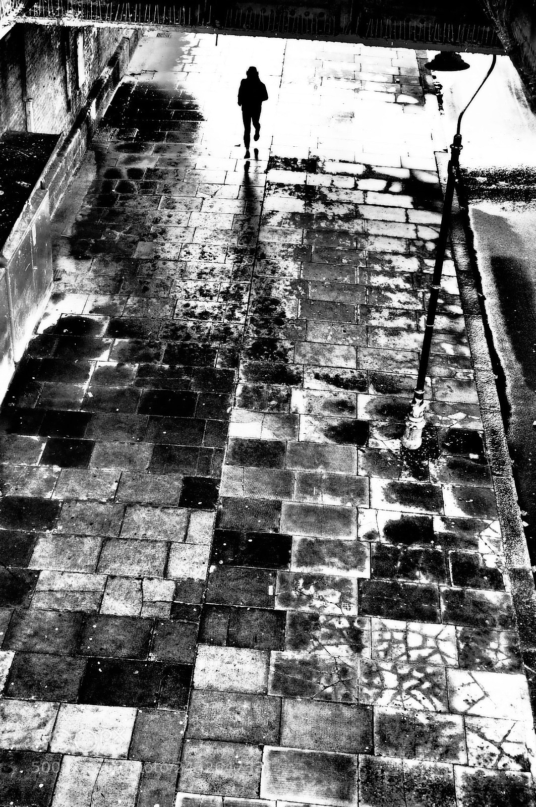 Olympus PEN-F sample photo. Untitled photography