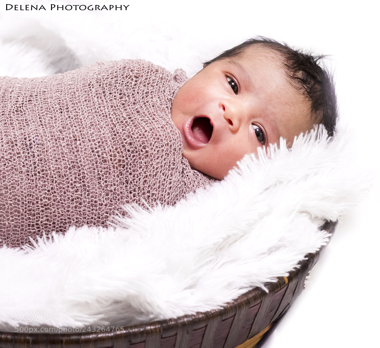 Canon EOS 1300D (EOS Rebel T6 / EOS Kiss X80) sample photo. Cuteness overloaded photography