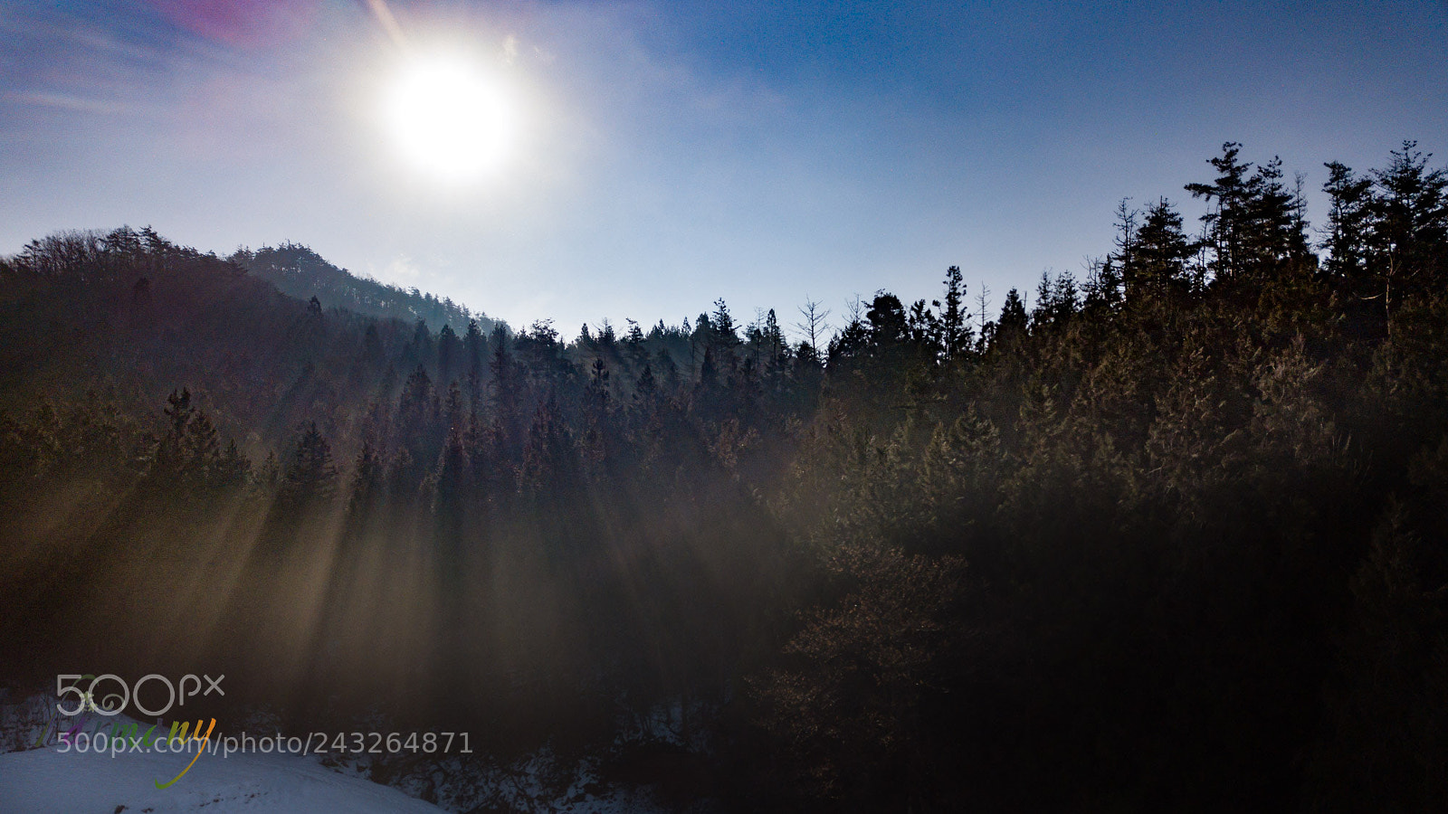 DJI FC220 sample photo. Morning of forest photography