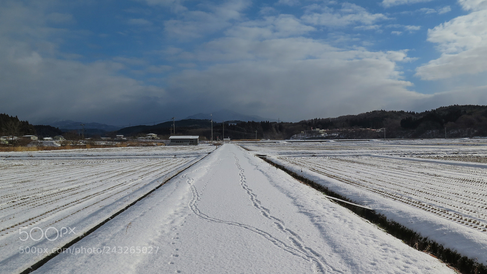 Canon PowerShot G16 sample photo. Rice field in winter photography