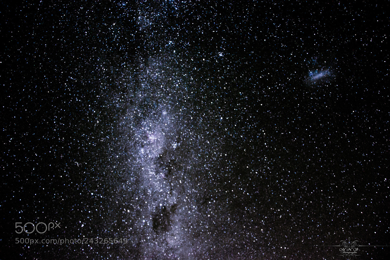 Nikon D7100 sample photo. Summer stars photography