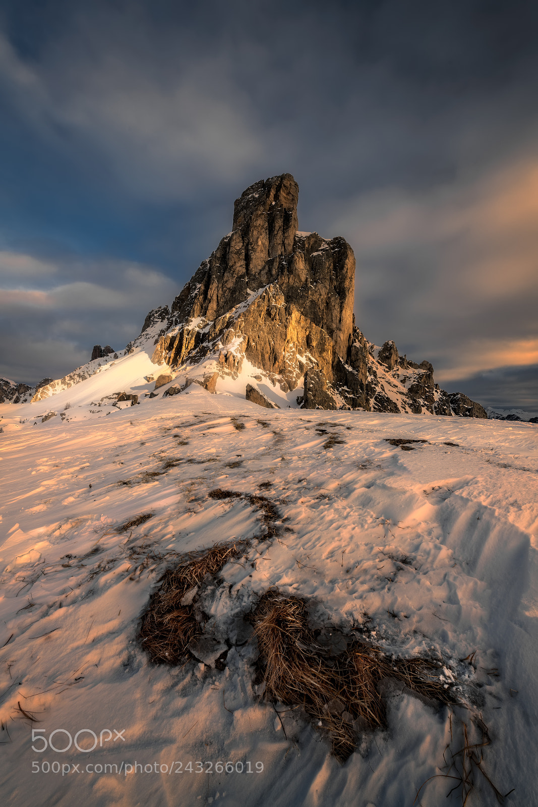 Nikon D850 sample photo. In the snow photography
