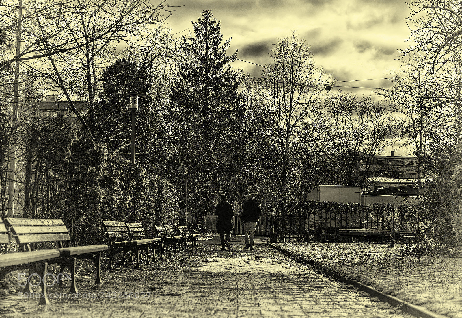 Sony a7 sample photo. Seeking for the truth photography
