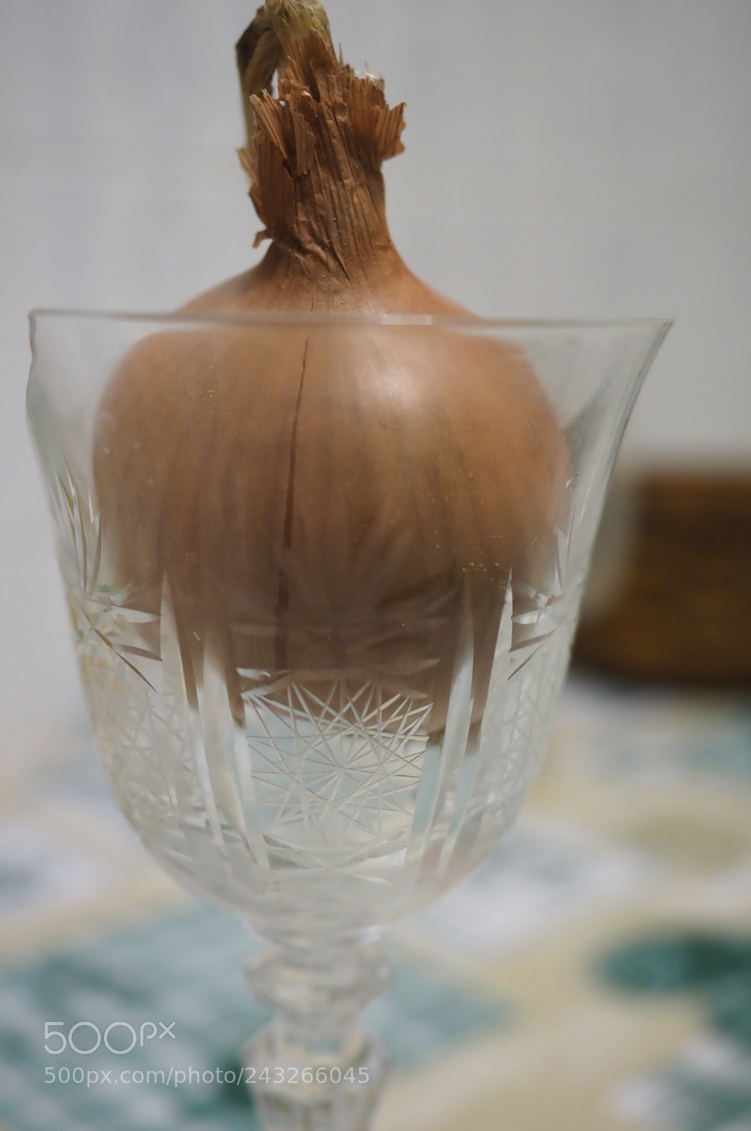 Olympus OM-D E-M1 Mark II sample photo. Untitled photography