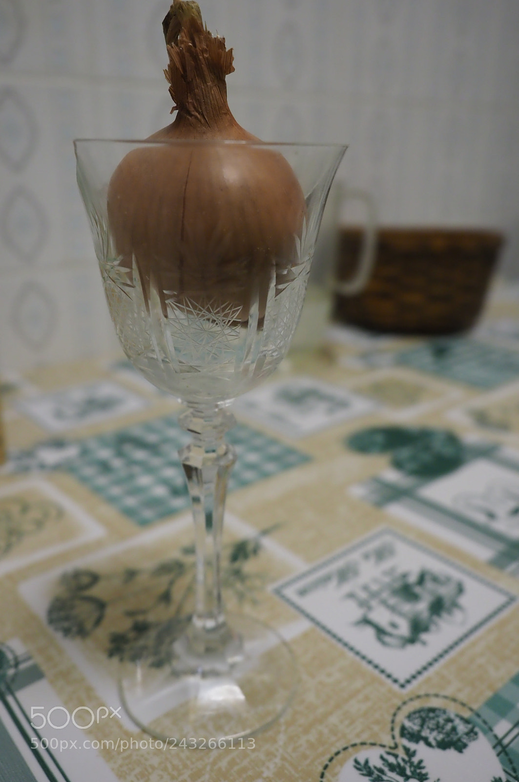 Olympus OM-D E-M1 Mark II sample photo. Untitled photography
