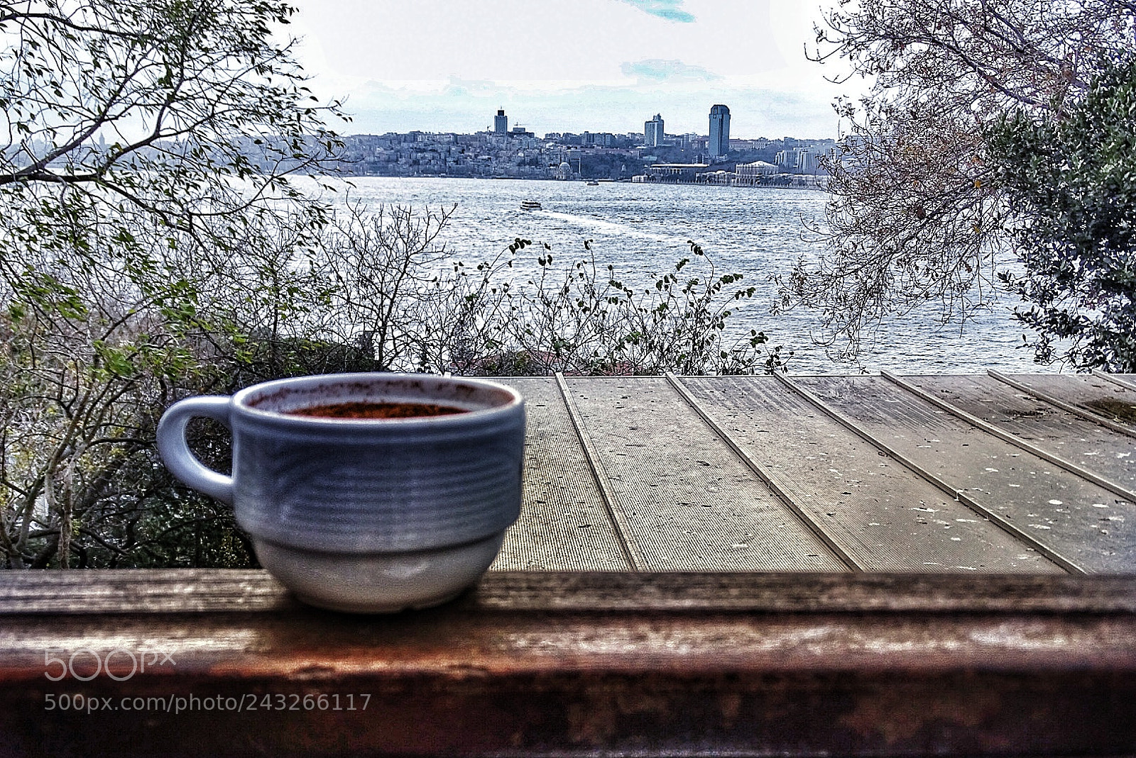 Sony Cyber-shot DSC-HX400V sample photo. Salep photography