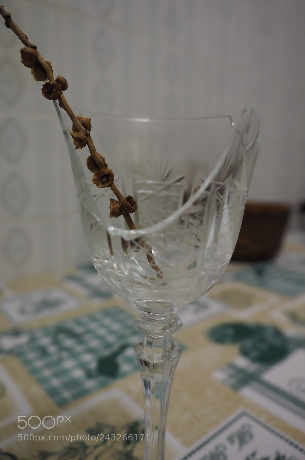 Olympus OM-D E-M1 Mark II sample photo. Untitled photography