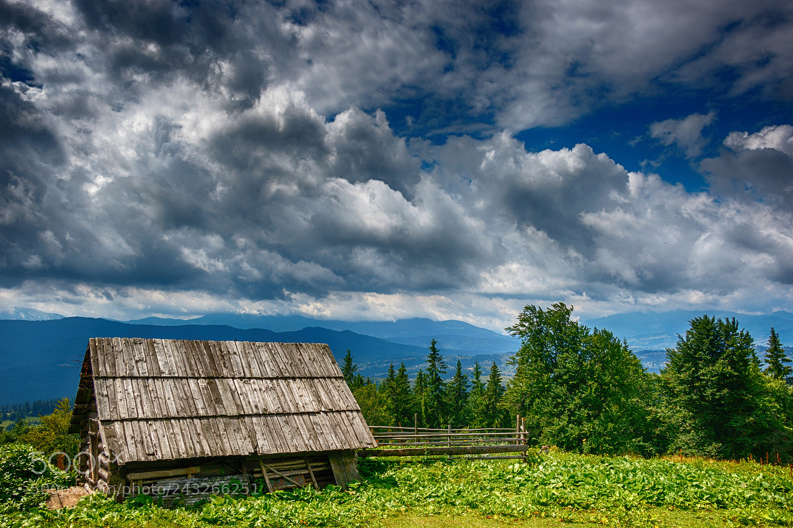 Canon EOS 7D Mark II sample photo. Hermit photography