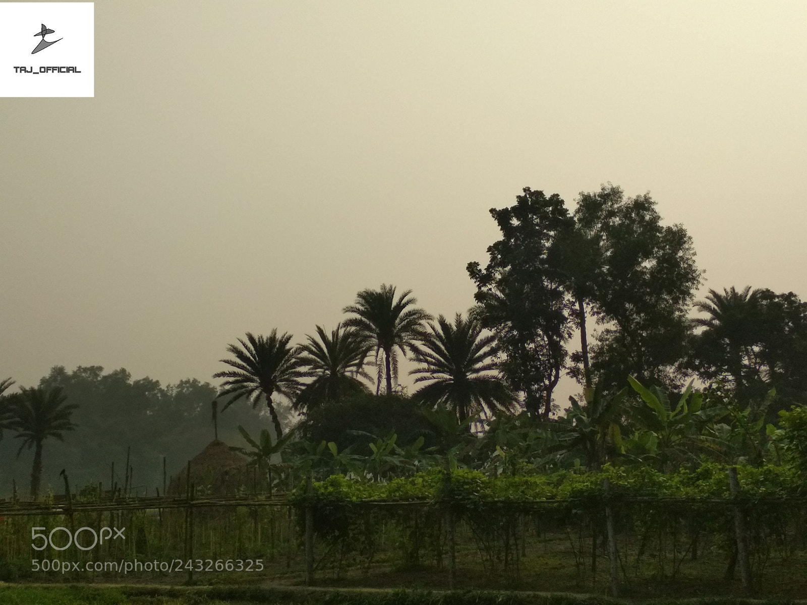 Xiaomi Redmi 4X sample photo. Untitled photography