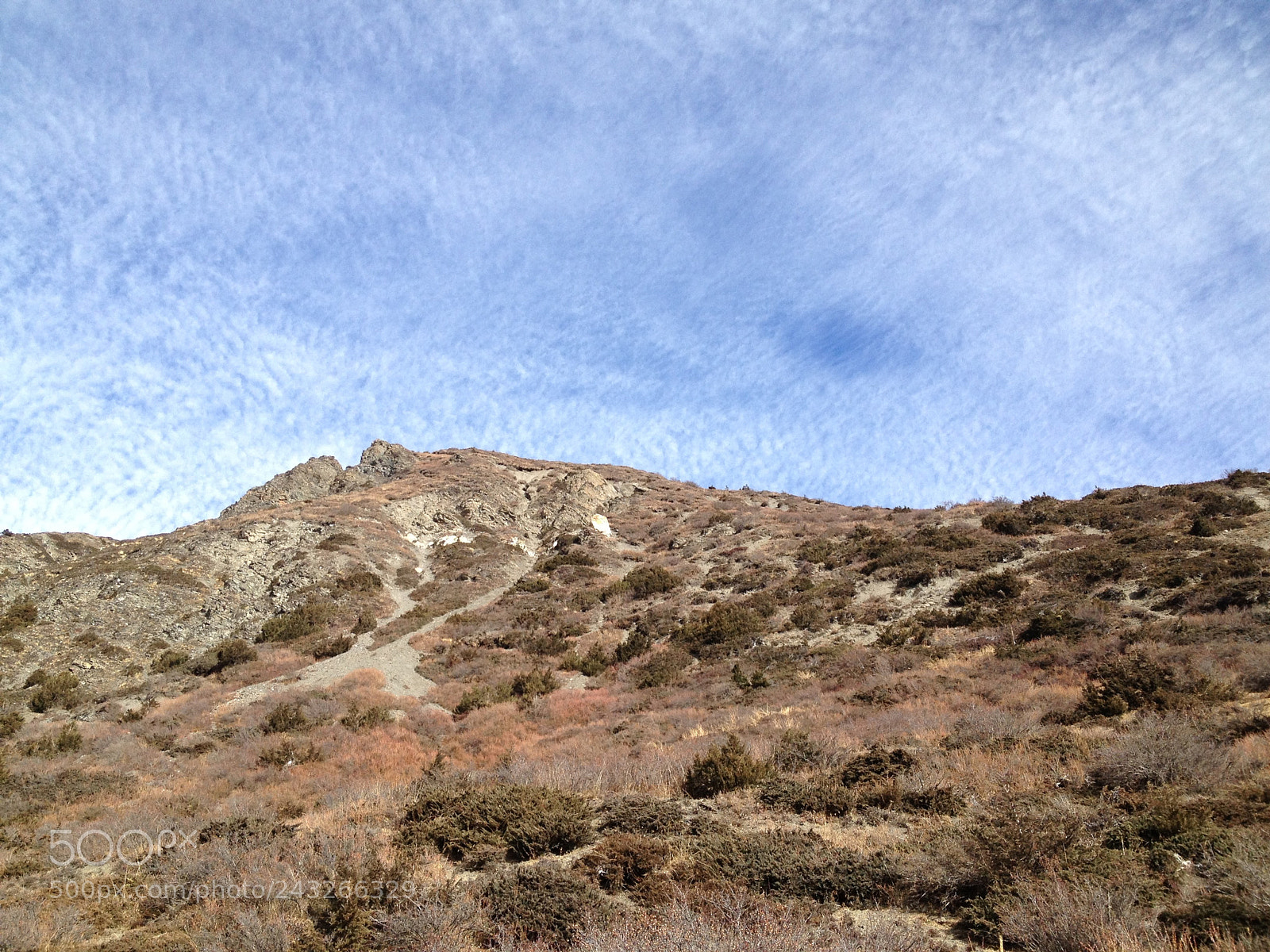 Apple iPhone 4S sample photo. *** photography