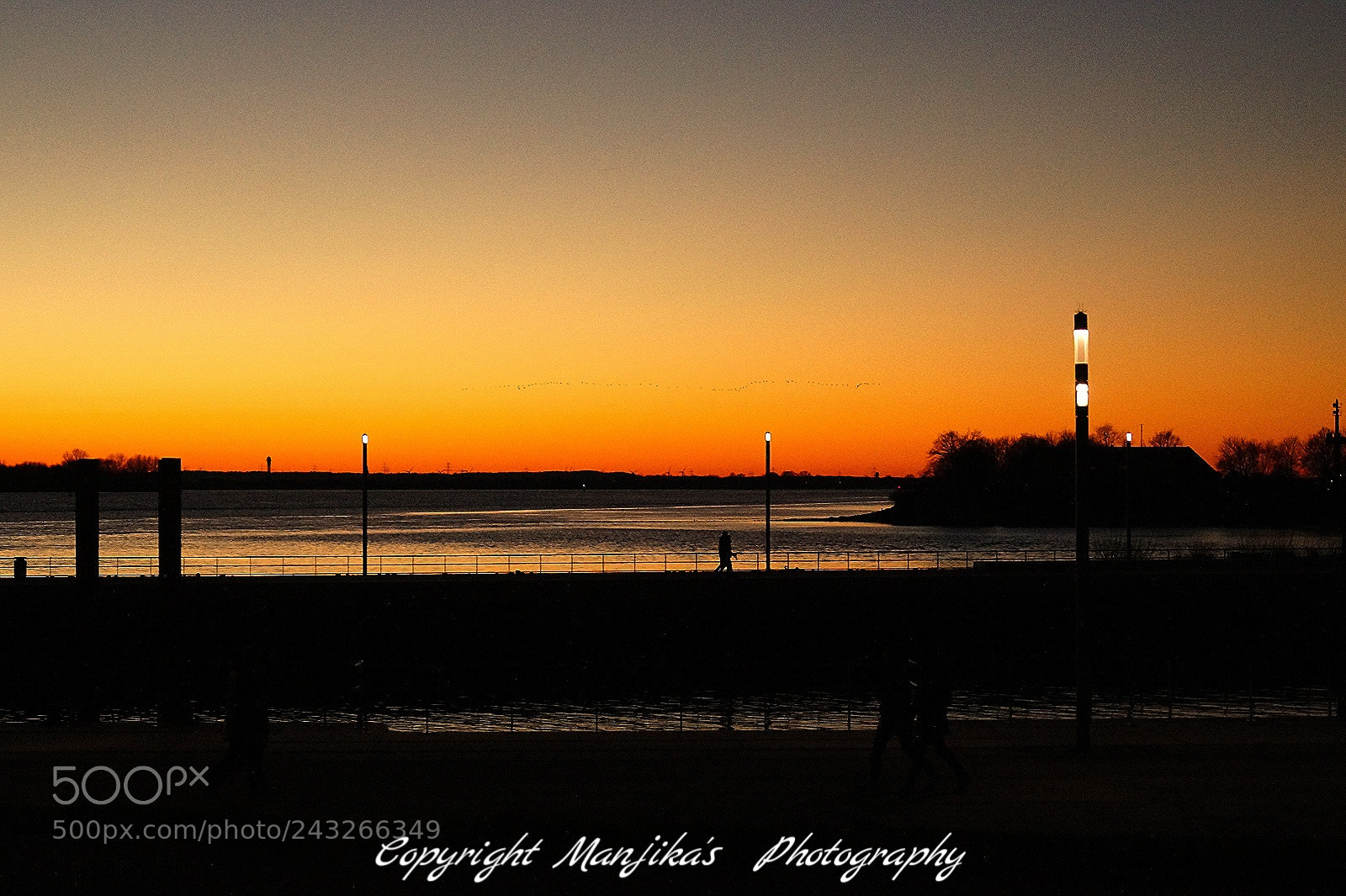 Sony SLT-A58 sample photo. Die elbe photography