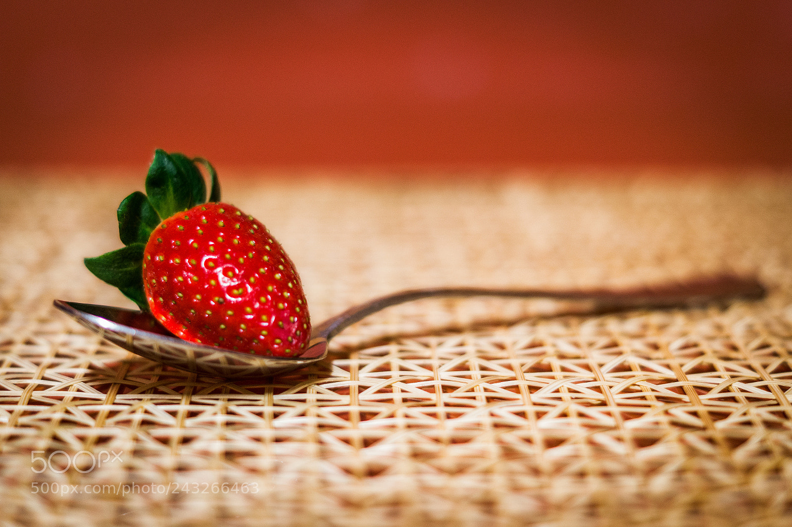 Sony SLT-A58 sample photo. Twenty projet365 life of photography