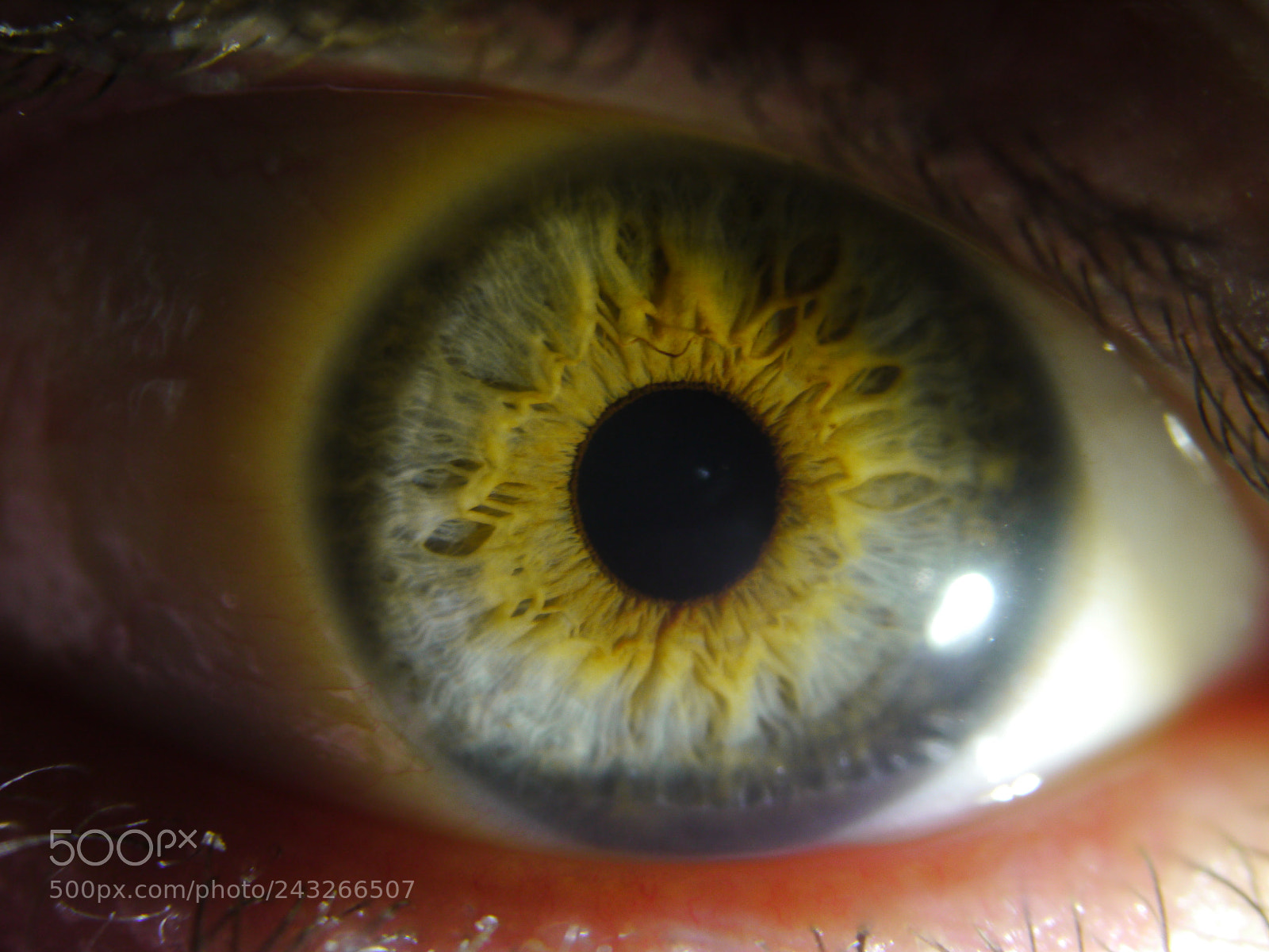 Panasonic Lumix DMC-GH2 sample photo. Human eye - created photography