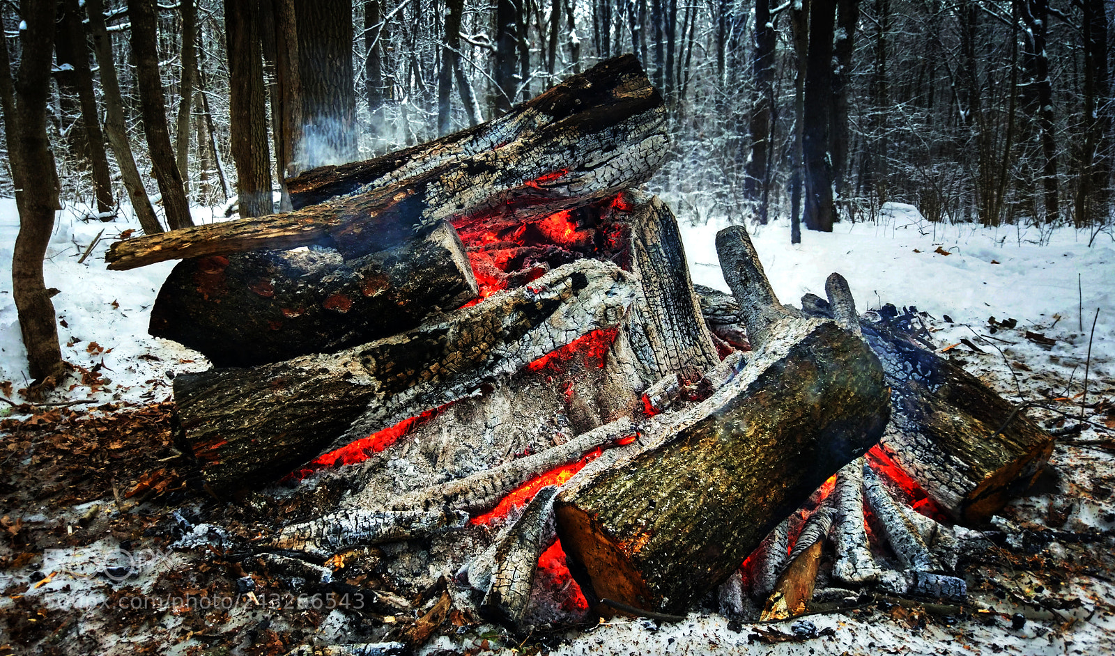 Xiaomi MI 5 sample photo. Bonfire in the forest photography