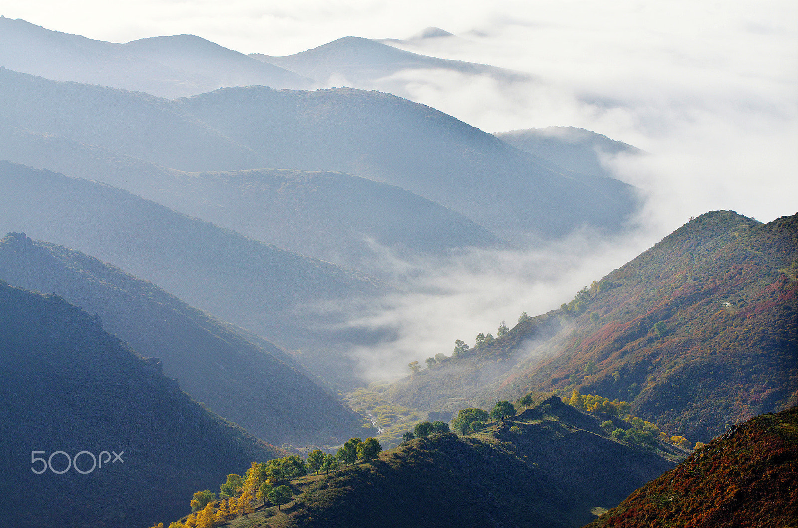 Pentax K-5 sample photo. Autumn photography