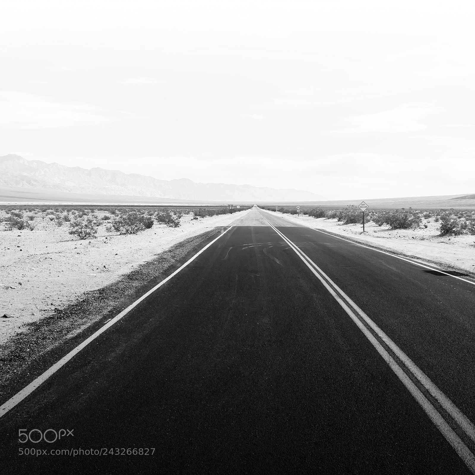 Nikon D90 sample photo. Road bw photography
