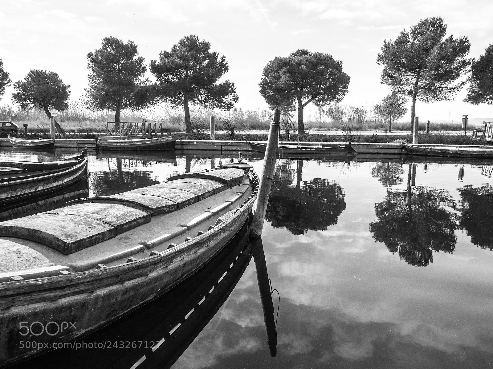 Olympus OM-D E-M10 II sample photo. Albufera, valencia photography