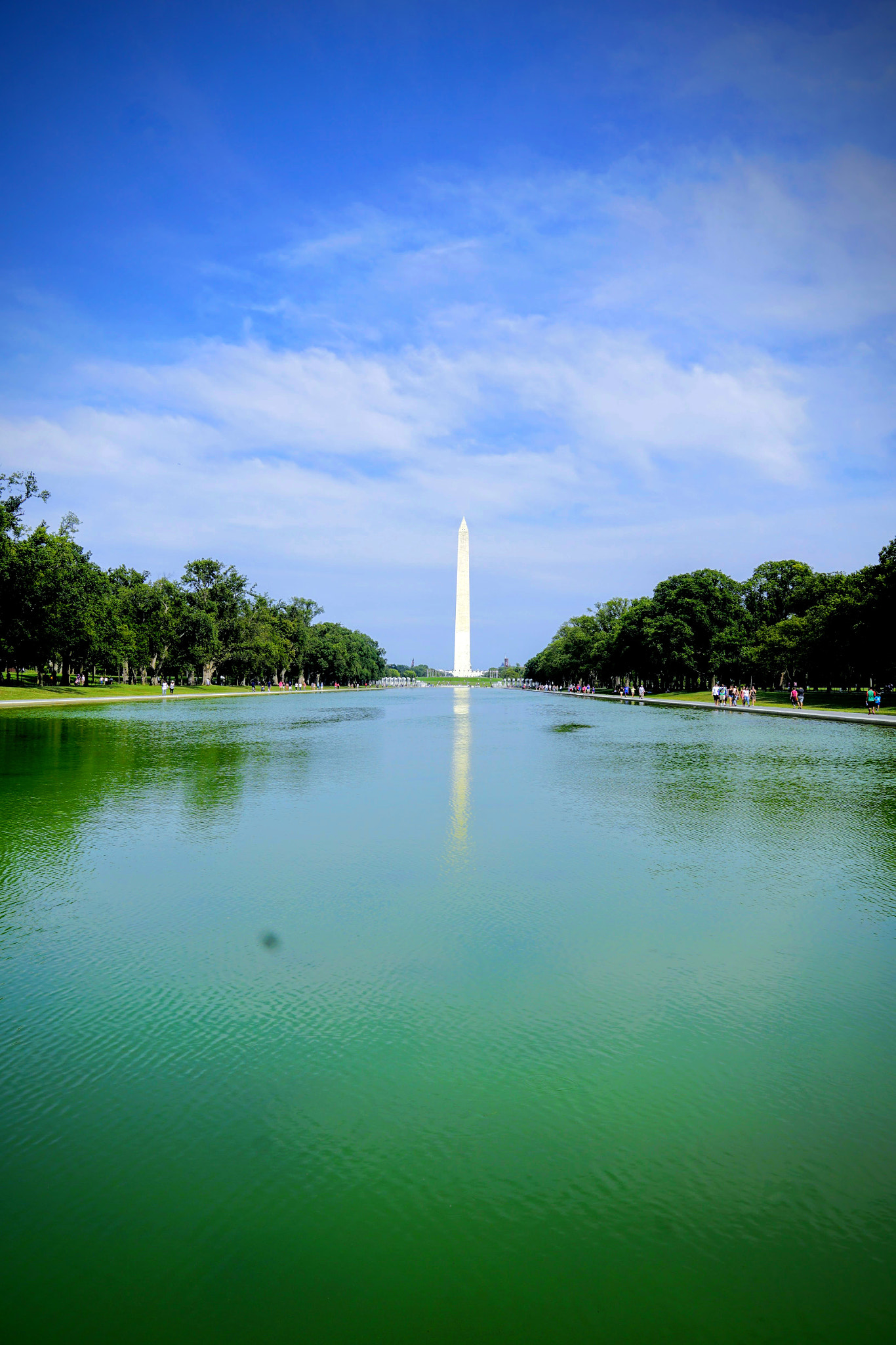 Sony a6300 + Sigma 19mm F2.8 EX DN sample photo. Washington monument photography